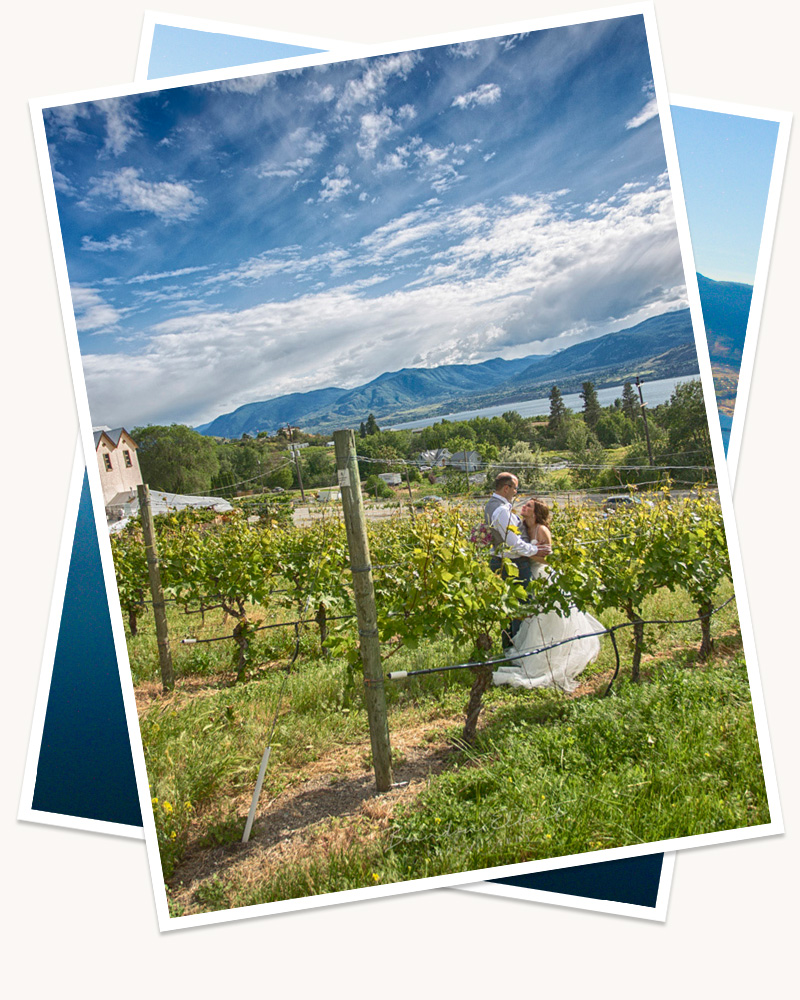 Two digitally stacked images, the top, visible image, showing a newly married couple in a tux and wedding dress, embracing between between rows of Hillside Winery vines - the scenic landscape prominent in the background.