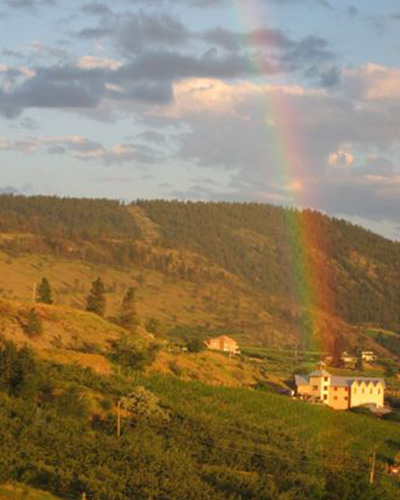 Historic photo of rainbow over Hillside Winery and Bistro with vineyards and sky in background