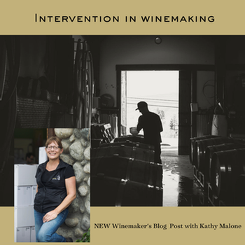 Intervention in Winemaking - What does it really mean?