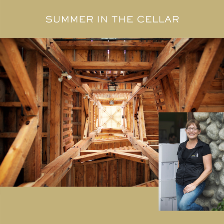 Summer in the Cellar