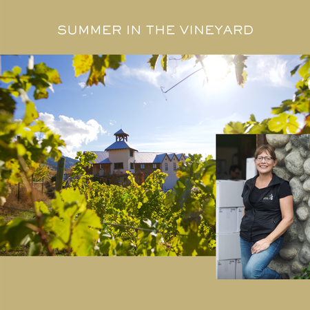 Summer In The Vineyard
