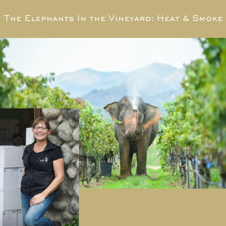 The Elephants in the Vineyard: Smoke & Heat