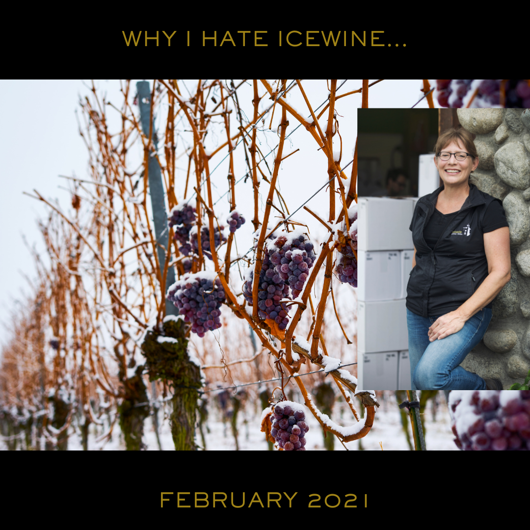 Why I Hate Icewine....